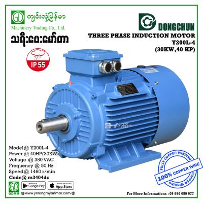 AC Motor DONGCHUN Y-200L-4 380V Three Phase