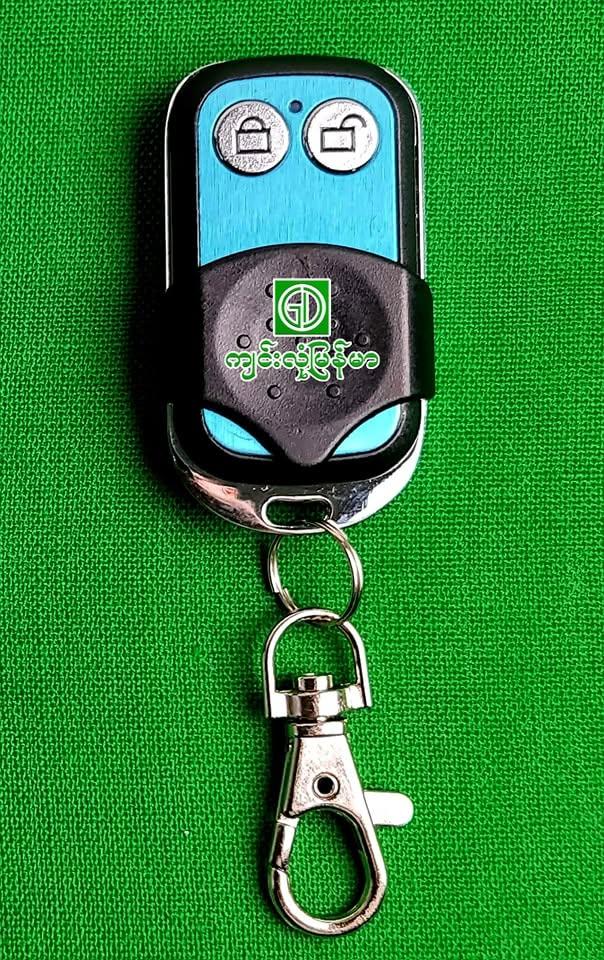 Generator wireless remote