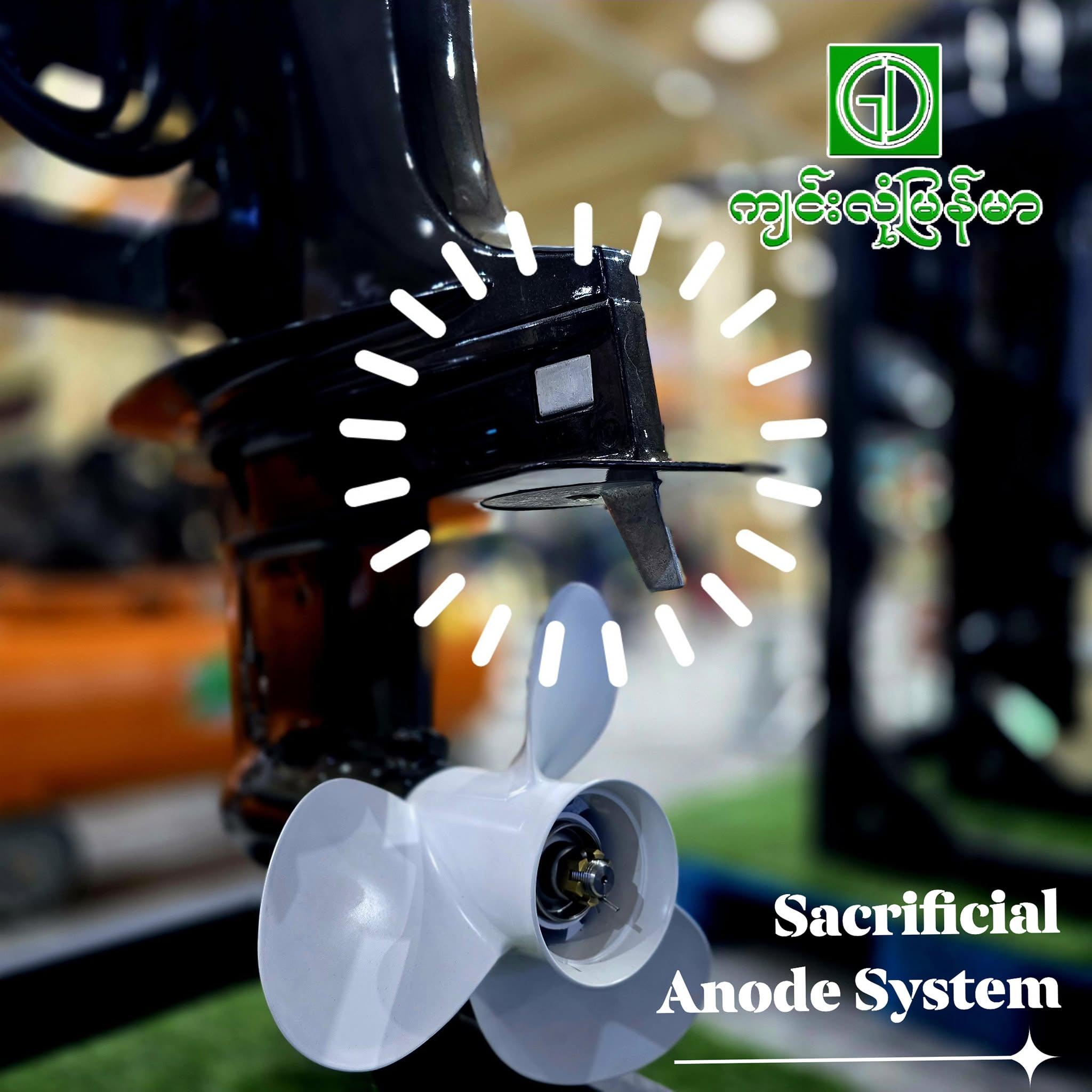 Sacrificial anode system