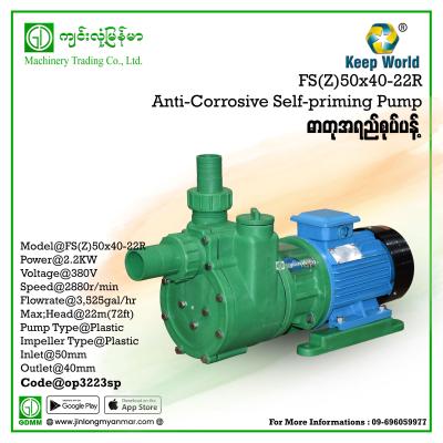 Anti-Corrosive Centrifugal Pump Keep World FS(Z)50×40-22R 2.2kw (380V)