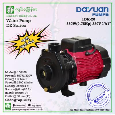 Water Pump DAYUAN 1DK-20 550W (1"x1")