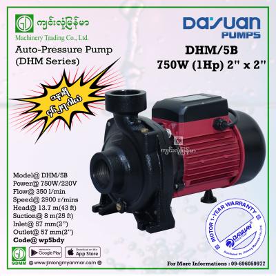 Water Pump DAYUAN DHM/5B 750W (2"x2")