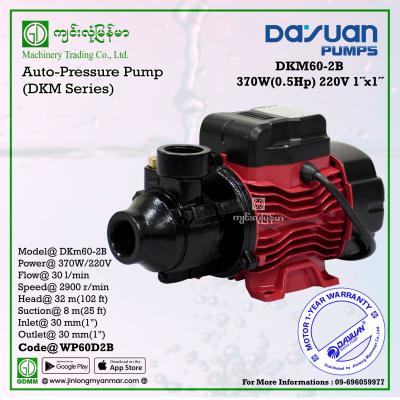 Water Pump DAYUAN DKm60-2B (1"x1")