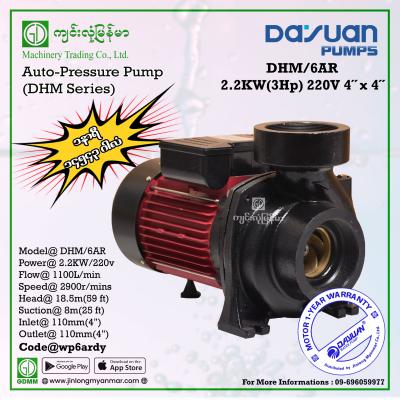 Water Pump DAYUAN DHM/6AR 2.2kW (4"x4")