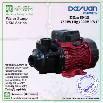 Water Pump DAYUAN DKm80-1B 750W (1"x1")