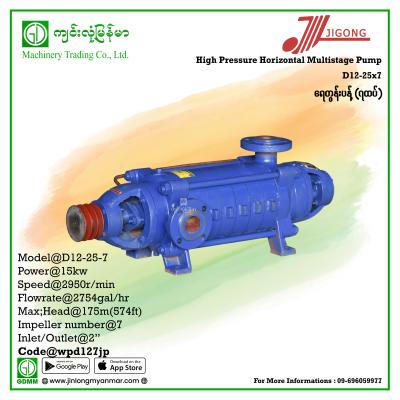 Multistage Pump JIGONG D12-25-7 175m 2"(15KW-Pulley)