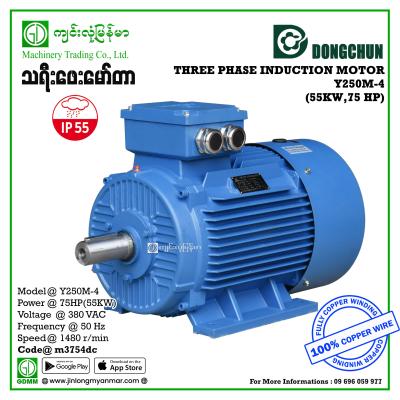 AC Motor DONGCHUN Y-250M-4 380V Three Phase