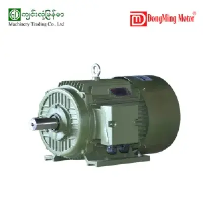 Three Phase Motor 100HP,4Pole