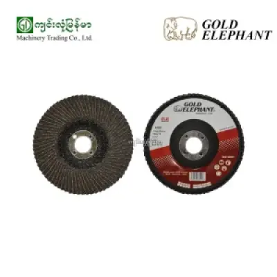 A 60# Sanding Flap Disc