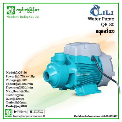 Water Pump LILI QB 80 0.75kW(1hp) (1" x 1")