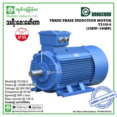 AC MOTOR DONGCHUN   Y-315S-6 THREE PHASE