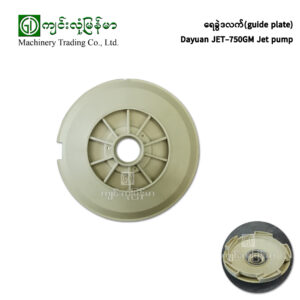 Auto Pressure Pump DAYUAN DGP126B - Jinlong Myanmar
